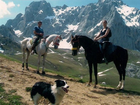 Paseos a Caballo